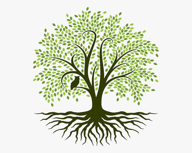 Roots Group Roots Group