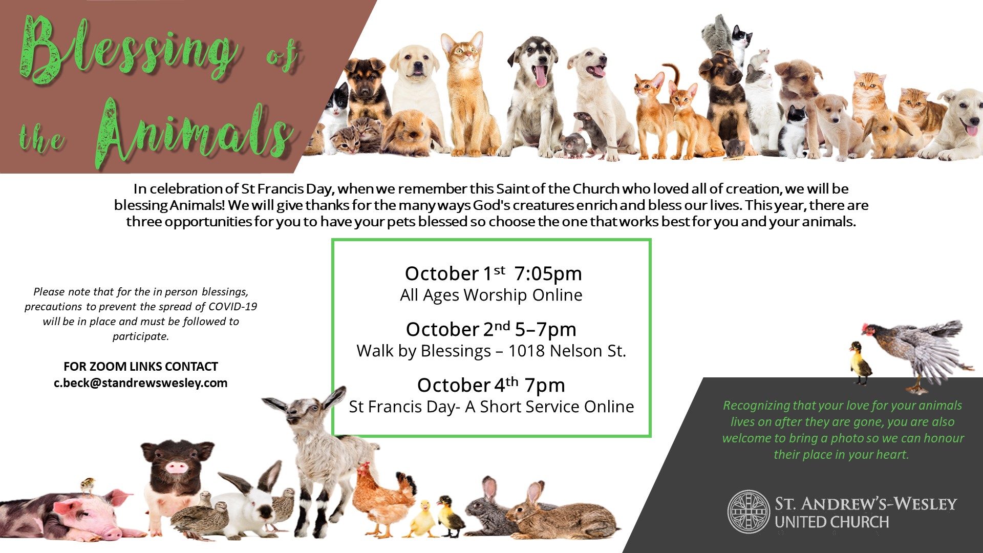 Blessing Of The Animals St Andrew S Wesley United Church